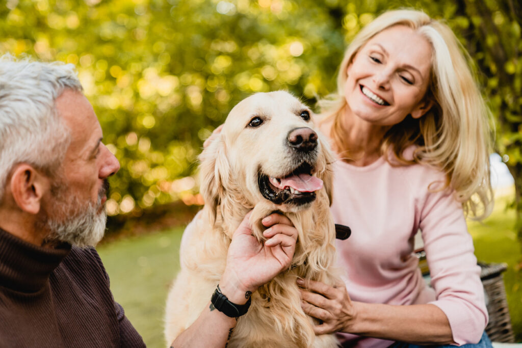 A senior couple enjoys a warm moment with their golden retriever in a lush green park.