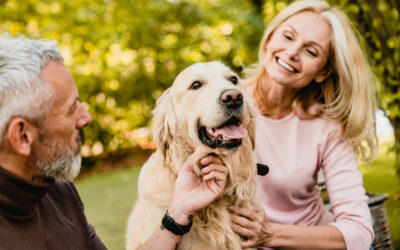 A senior couple enjoys a warm moment with their golden retriever in a lush green park.